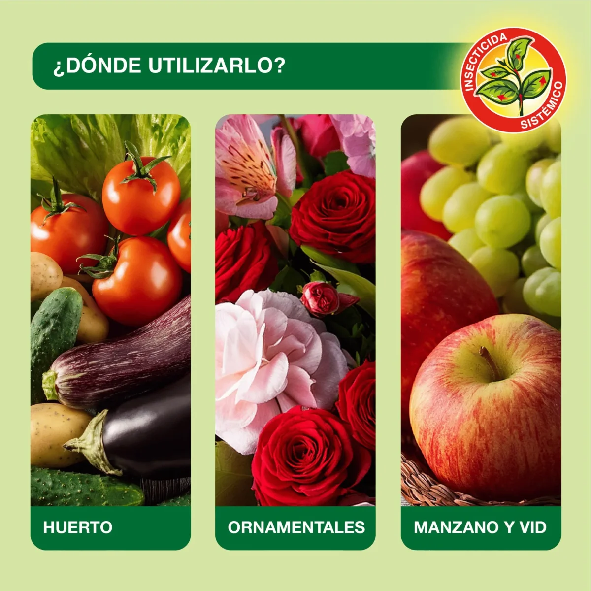 Sanium Inseticida Sistémico Concentrado contra insetos sugadores - Proteja o seu Jardim - Image 5